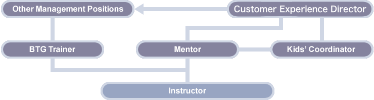 Career Ladder Diagram